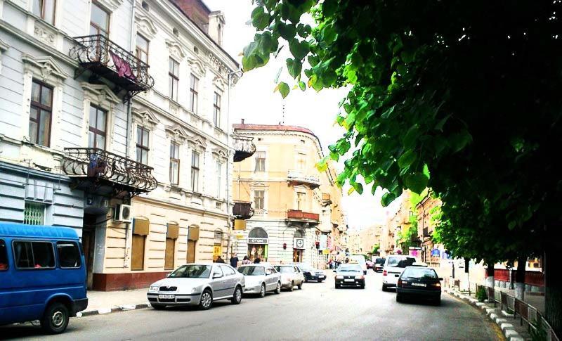 Apartment In The City Center Mini Ivano-Frankivsk Exteriör bild